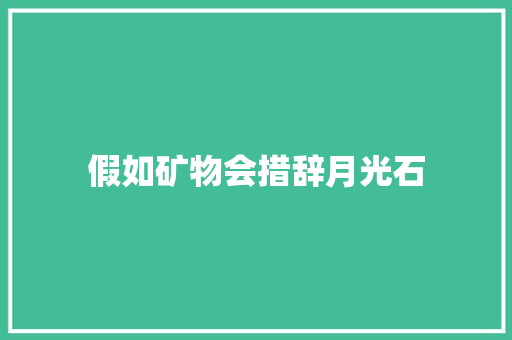 假如矿物会措辞月光石