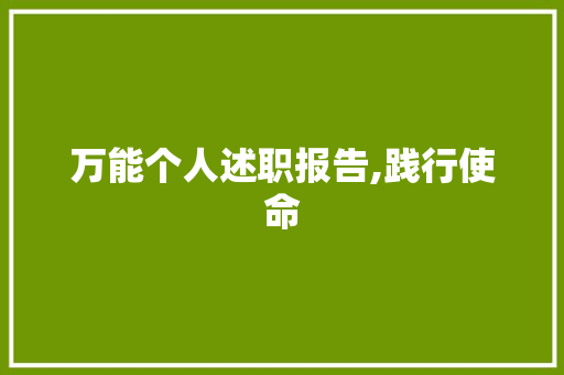 万能个人述职报告,践行使命，助力公司发展_万能个人述职报告
