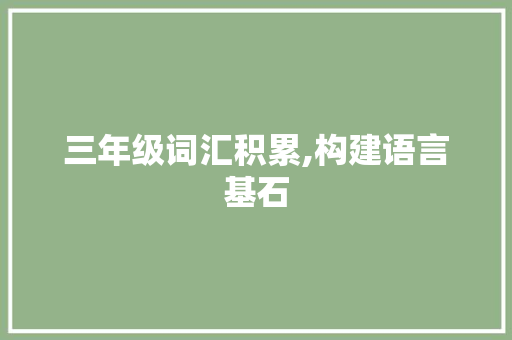 三年级词汇积累,构建语言基石，迈向知识殿堂_三年级词汇积累PPT