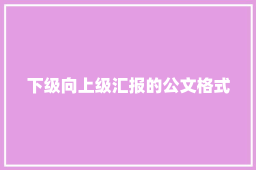 下级向上级汇报的公文格式