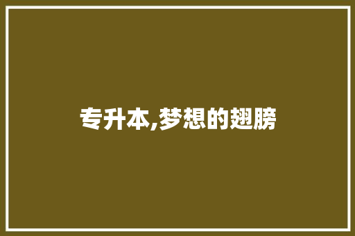 专升本,梦想的翅膀，知识的航船_专升本作文词汇积累