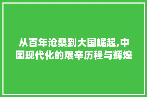 从百年沧桑到大国崛起,中国现代化的艰辛历程与辉煌成就_从百年沧桑到大国崛起论文