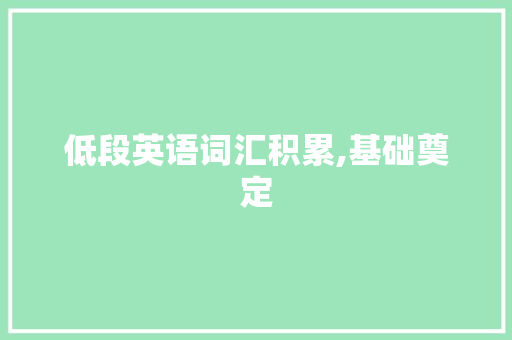 低段英语词汇积累,基础奠定，未来可期_低段英语词汇积累怎么写