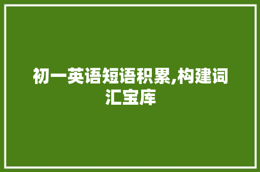 初一英语短语积累,构建词汇宝库，助力英语学习之路_初一英语短语积累词汇