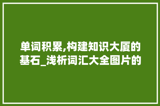 单词积累,构建知识大厦的基石_浅析词汇大全图片的应用价值_单词积累词汇大全图片