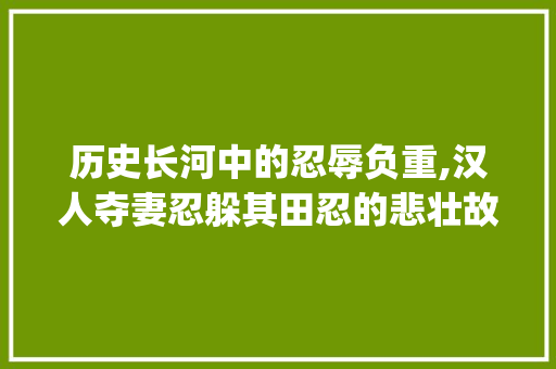 历史长河中的忍辱负重,汉人夺妻忍躲其田忍的悲壮故事_范文程说汉人夺其妻忍躲其田忍