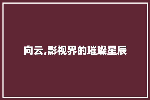 向云,影视界的璀璨星辰，点亮荧屏的温暖之光_向云主演的全部电视剧