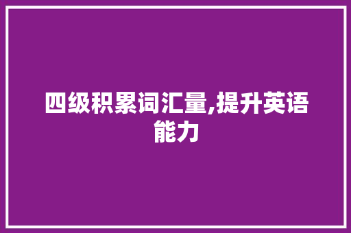 四级积累词汇量,提升英语能力，成就精彩人生_四级积累词汇量有没有用