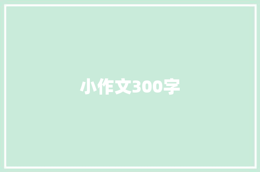 小作文300字