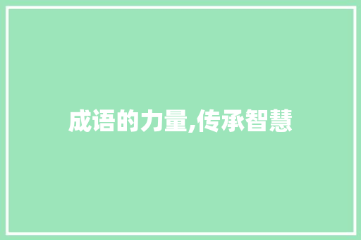 成语的力量,传承智慧，启迪人生_六级词汇积累成语答案