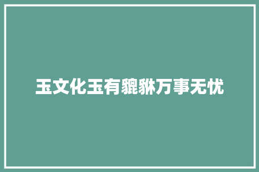 玉文化玉有貔貅万事无忧