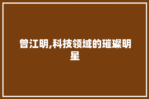 曾江明,科技领域的璀璨明星，引领创新潮流的先锋人物_曾江明简历