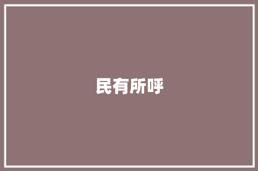 民有所呼，政有所应_新时代社会治理的生动方法_民有所呼政有所应