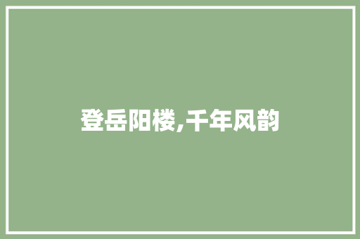 登岳阳楼,千年风韵，一纸风华_登岳阳楼词汇积累