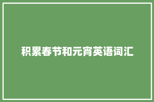 积累春节和元宵英语词汇