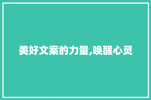 美好文案的力量,唤醒心灵，点亮生活_词汇积累美好文案摘抄