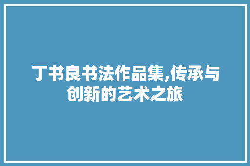 丁书良书法作品集,传承与创新的艺术之旅