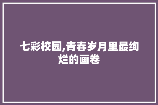 七彩校园,青春岁月里最绚烂的画卷