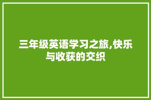 三年级英语学习之旅,快乐与收获的交织