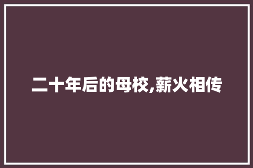 二十年后的母校,薪火相传，砥砺前行