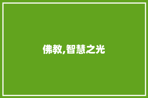 佛教,智慧之光，心灵之境_对佛教的介绍