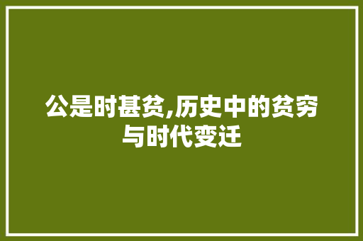 公是时甚贫,历史中的贫穷与时代变迁