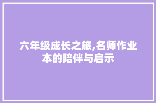 六年级成长之旅,名师作业本的陪伴与启示