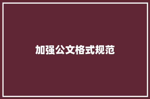 加强公文格式规范，提升政府公文质量