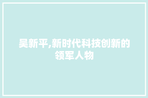 吴新平,新时代科技创新的领军人物