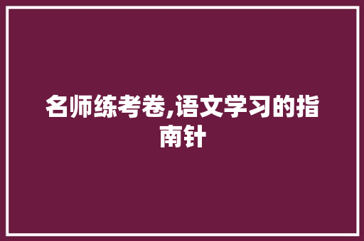 名师练考卷,语文学习的指南针