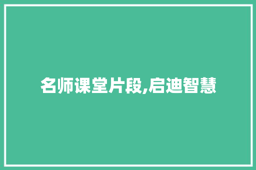 名师课堂片段,启迪智慧，点亮人生_特级名师经典上课片段摘抄