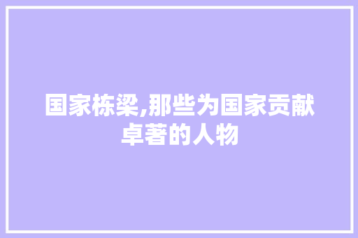 国家栋梁,那些为国家贡献卓著的人物