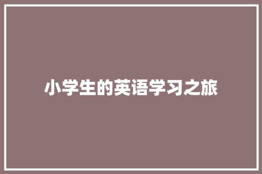 小学生的英语学习之旅