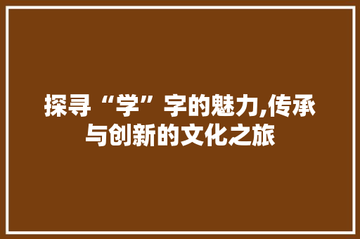 探寻“学”字的魅力,传承与创新的文化之旅