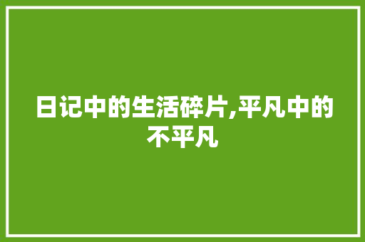 日记中的生活碎片,平凡中的不平凡