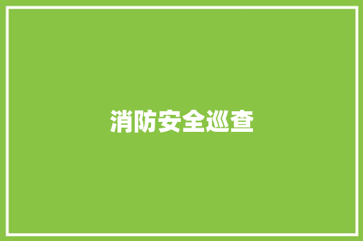 消防安全巡查，筑牢生命防线_浅析消防安全巡查表的重要性与方法