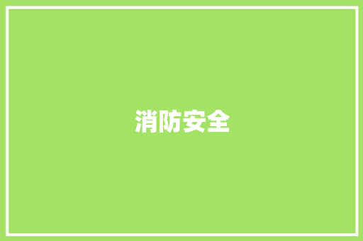 消防安全，生命之盾_消防安全征文300字4年级