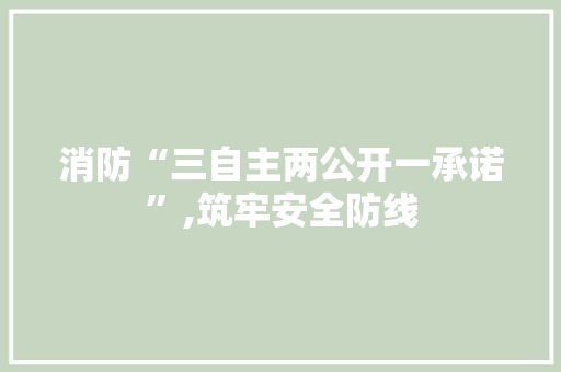 消防“三自主两公开一承诺”,筑牢安全防线，共建和谐社区