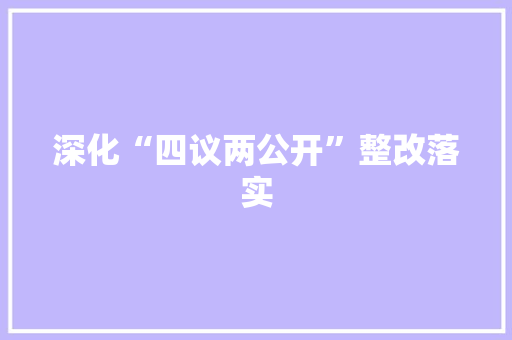 深化“四议两公开”整改落实，推动基层治理现代化