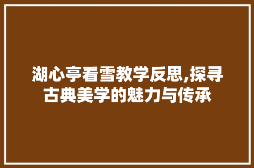 湖心亭看雪教学反思,探寻古典美学的魅力与传承