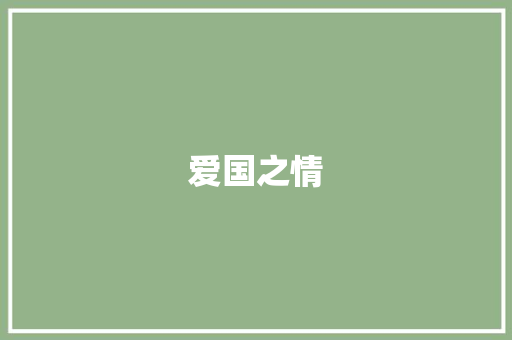 爱国之情，民族之魂
