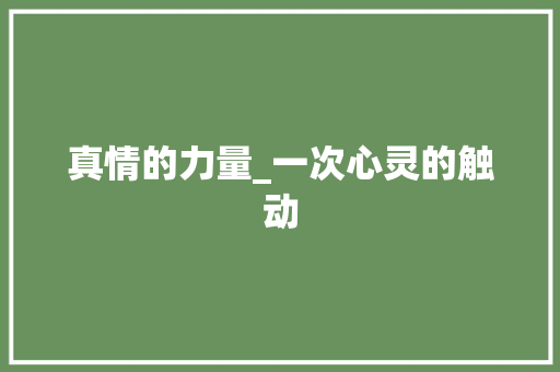 真情的力量_一次心灵的触动