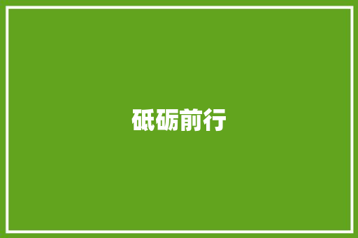 砥砺前行，成就非凡_以个人简历为镜鉴