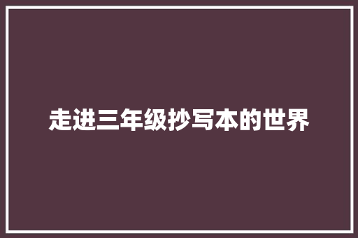 走进三年级抄写本的世界