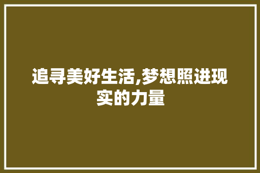 追寻美好生活,梦想照进现实的力量