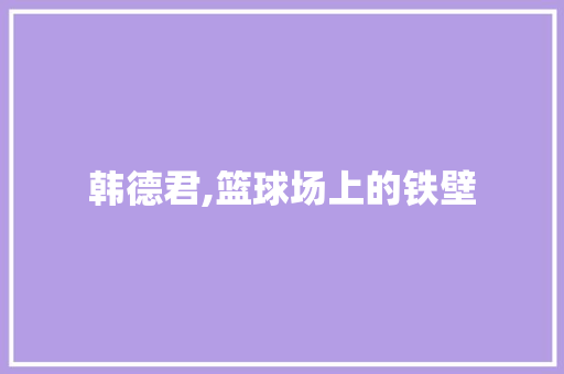 韩德君,篮球场上的铁壁，我国篮球事业的骄傲