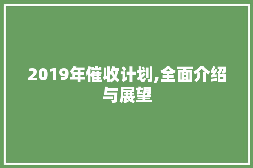 2019年催收计划,全面介绍与展望