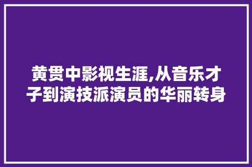 黄贯中影视生涯,从音乐才子到演技派演员的华丽转身