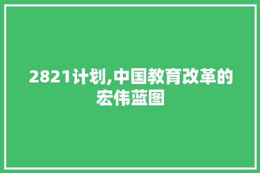 2821计划,中国教育改革的宏伟蓝图