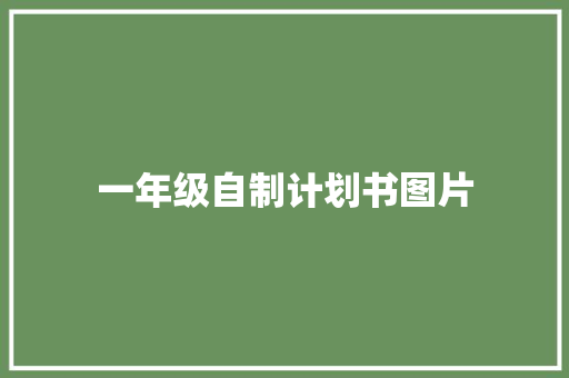 一年级自制计划书图片